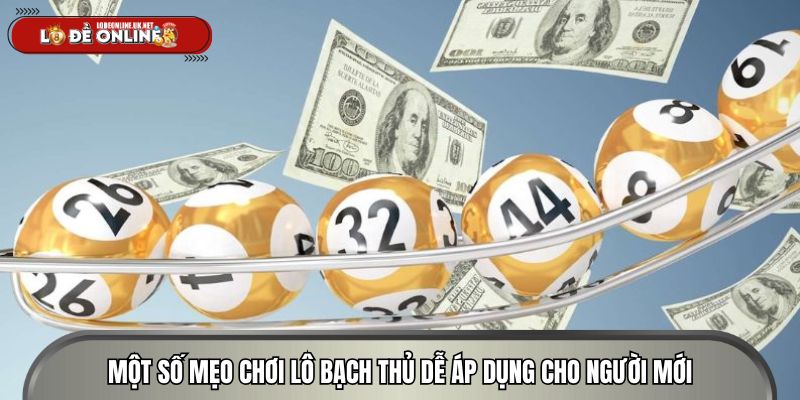 Một số mẹo chơi lô bạch thủ dễ áp dụng cho người mới