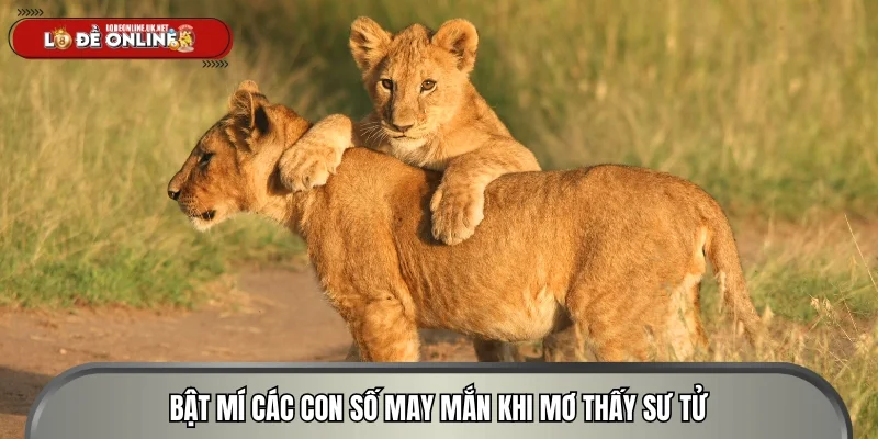 Bật mí các con số may mắn khi mơ thấy sư tử