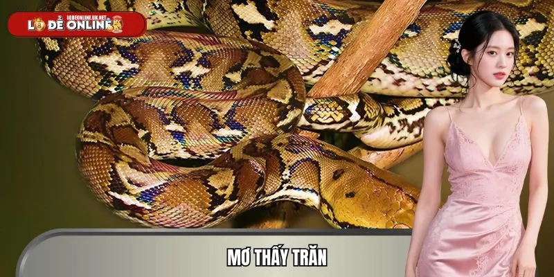 Mơ Thấy Trăn - Tiết Lộ Con Số Tài Lộc Trong Lô Đề Online